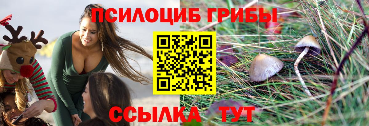 Псилоцибиновые грибы Magic Shrooms Сочи