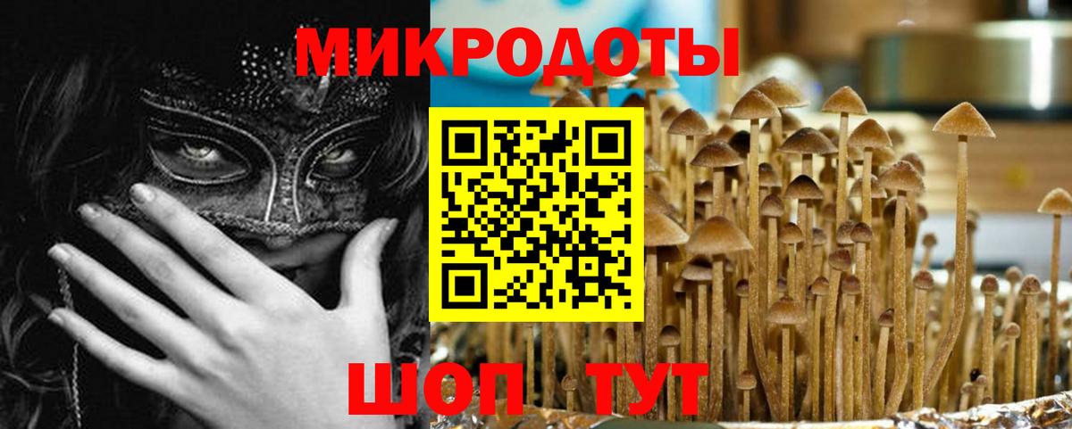 Псилоцибиновые грибы ЛСД  Псилоцибиновые грибы прущие грибы  Вход с VPN  Сочи 